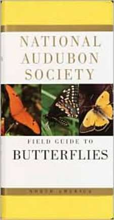 Audubon Field Guide: North American Butterflies (Book) by Robert Michael Pyle
