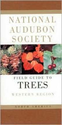 Audubon Field Guide: North American Insects & Spiders (Book) by Lorus Milne
