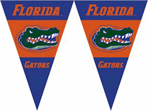 Florida Gators 25 String of 6" x 9" Party Pennants