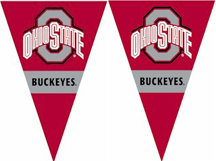 Ohio State Buckeyes 25 String of 6" x 9" Party Pennants