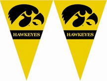 Iowa Hawkeyes 25 String of 6" x 9" Party Pennants