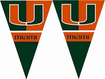 Miami Hurricanes 25 String of 6" x 9" Party Pennants