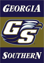 Georgia Southern Eagles Premium 28' x 40' Two-Sided Banner