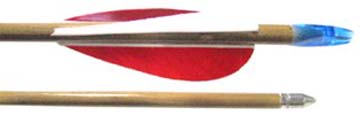 Hardwood Target Arrow with 3 Feathers (1 Dozen)
