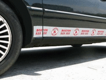 Boston Red Sox Car Trim Magnets