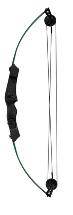 Firestar Bow from Bear Archery
