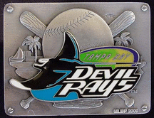 Tampa Devil Rays MLB Trailer Hitch Cover Picture