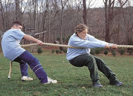 Polydac Fiber Tug of War Rope 75 L x 2 Diameter