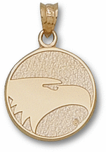Celtic Belly Rings - Georgia Southern Eagles Pierced Round Eagle Face 5/8 Pendant - Sterling Silver Jewelry