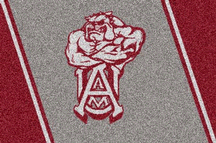 Alabama A & M Bulldogs 33" x 45" Team Door Mat