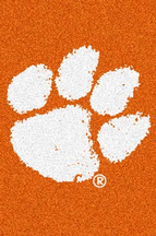 Clemson Tigers (Vertical) 4 x 6 Team Door Mat