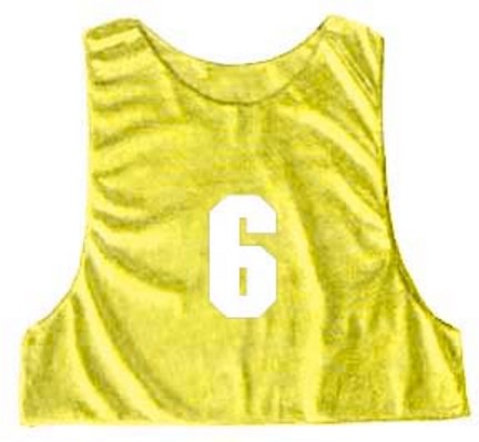 Adult Numbered Blue Micro Mesh Team Vest (Set of 12)
