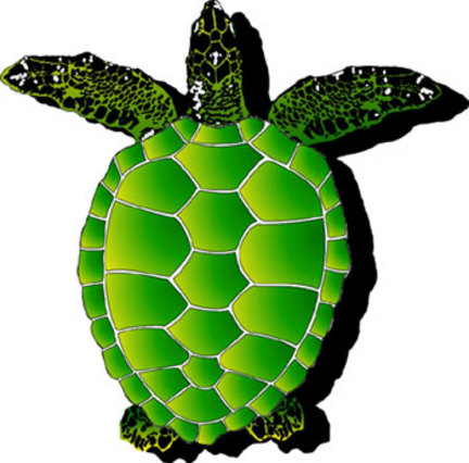 Mini 11 Inch Pool Art - Sea Turtle (Set of Four Emblems)
