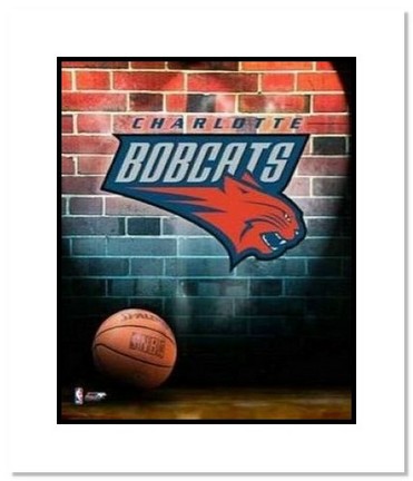 Charlotte Bobcats NBA "Team Logo and Basketball" Double Matted 8" x 10" Photograph