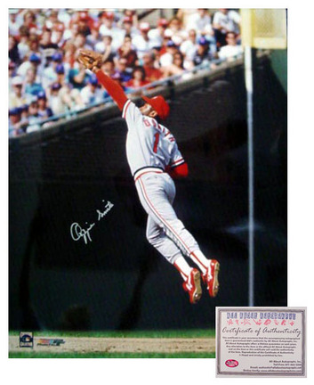 Ozzie Smith St. Louis Cardinals MLB Autographed "Fielding" 16" x 20" Photograph (Unframed)
