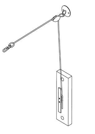 Ring Hoist from American Athletic, Inc