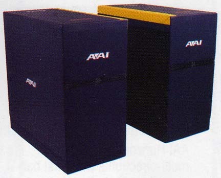 Parallel Bar Blocks from American Athletic, Inc.