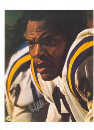 Carl Eller Minnesota Vikings Autographed 8" x 10" White Jersey Photograph (Unframed)