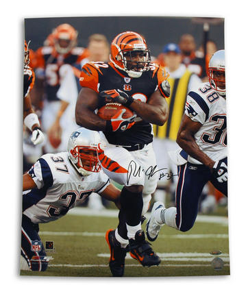 Rudi Johnson Autographed Cincinnati Bengals 16" x 20" Photograph (Unframed)