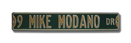 Steel Street Sign:  "9 MIKE MODANO DR"