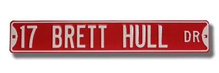 Steel Street Sign:  "17 BRETT HULL DR"