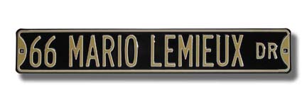 Steel Street Sign:  "66 MARIO LEMIEUX DR"
