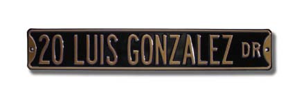 Steel Street Sign: "20 LUIS GONZALEZ DR"