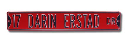 Steel Street Sign: "17 DARIN ERSTAD DR"