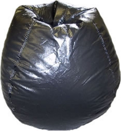 Black Primary Bean Bag Chair