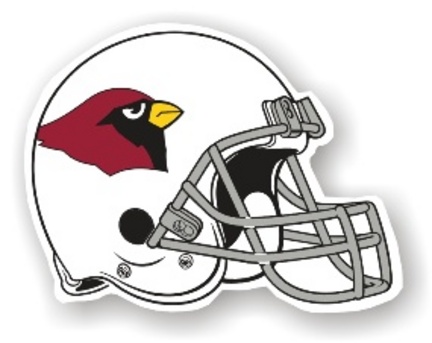 Arizona Cardinals 12