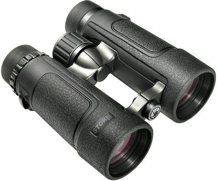Storm EX 10x42 Binocular