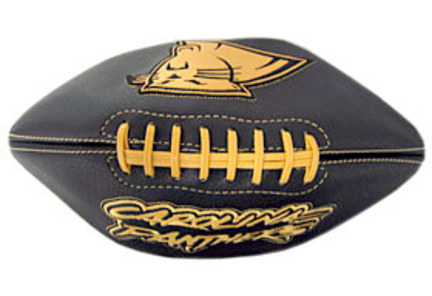 Carolina Panthers Roadster Embroidered Full Size Football from Fotoball