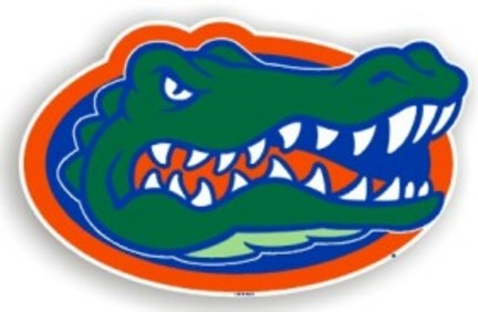 Florida Gators 12" Car Magnets - Set of 2