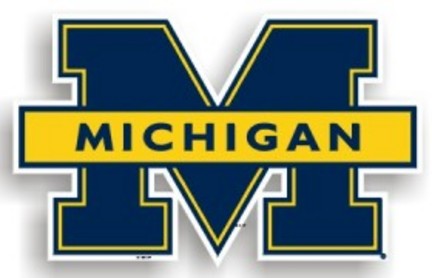 Michigan Wolverines 12" Car Magnets - Set of 2