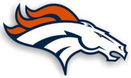 Denver Broncos 12" Right Logo Car Magnets - Set of 2