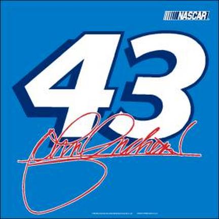 John Andretti #43 Car Flag