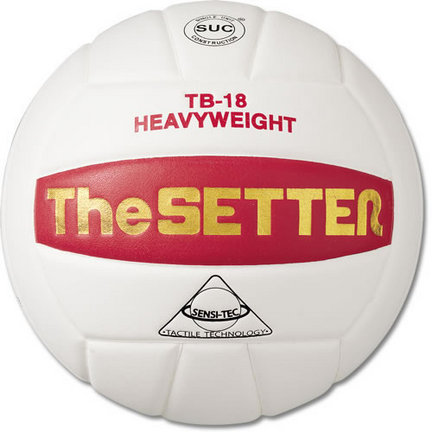 Tachikara "The Setter - Training" Heavyweight Volleyball