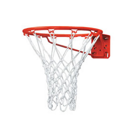 Elementary Basketball Goal