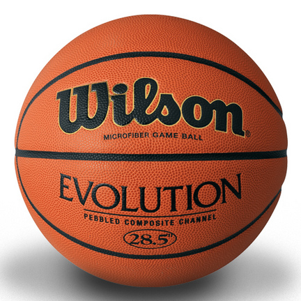 Wilson Intermediate Evolution Wide Channel Basketball