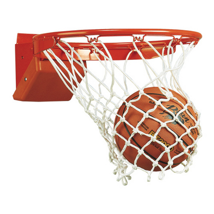 Bison Elite Breakaway Basketball Goal with Net