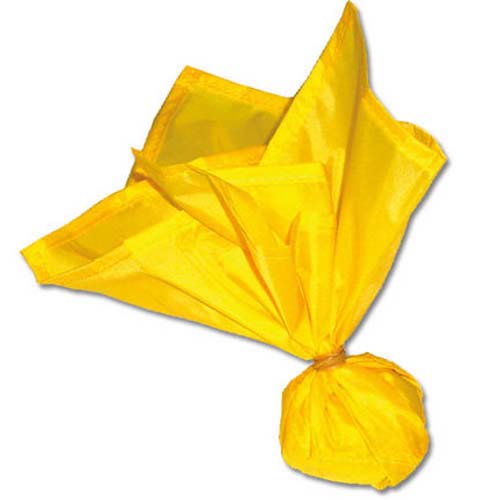 Football Official's Penalty Flag