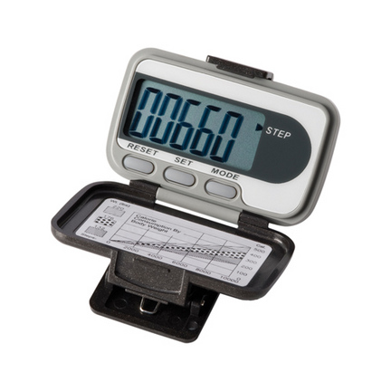 Ekho "Two" Pedometer