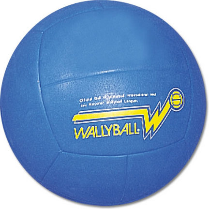 Official Wallyball&reg; Ball