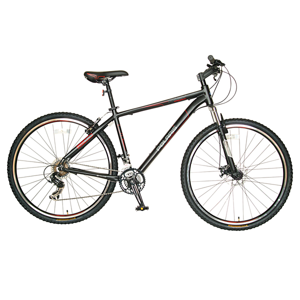 Polaris Rush 29