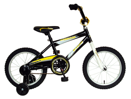 Mantis Burmeister 16