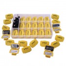 Bee-Fit Worker Bee Pedometer Class Pack by