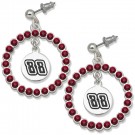 Dale Earnhardt Jr. #88 Spirit Crystal Logo Wreath Earrings by