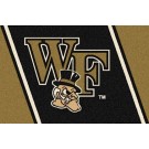 Wake Forest Demon Deacons 5' x 8' Team Door Mat by