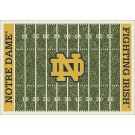 Notre Dame Fighting Irish 7' 8" x 10' 9" NCAA Home Field Area Rug by