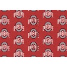 Ohio State Buckeyes 7' 8" x 10' 9" Team Repeat Area Rug by